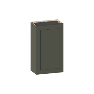 Aston Green - 21"W × 36"H Standard Wall Cabinet