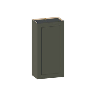 Aston Green - 21"W × 42"H Standard Wall Cabinet