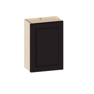 Iron Black - 21"W × 30"H Standard Wall Cabinet