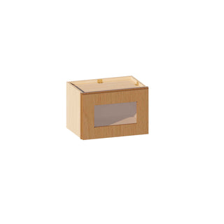 Treasure Chest - 18"W × 12"H Glass-Door Wall Cabinet