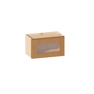 Treasure Chest - 21"W × 12"H Glass-Door Wall Cabinet