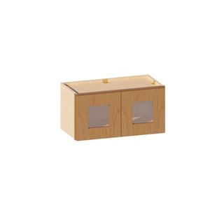 Treasure Chest - 24"W × 12"H Glass-Door Wall Cabinet