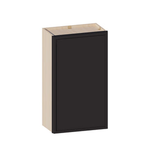 Slim Iron Black - 21"W × 36"H Standard Wall Cabinet