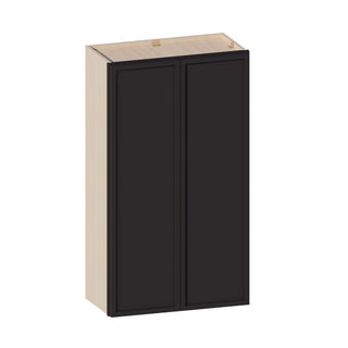 Slim Iron Black - 24"W × 42"H Standard Wall Cabinet