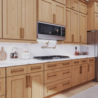 Treasure Chest - 21"W Full-Height Door Base Cabinet