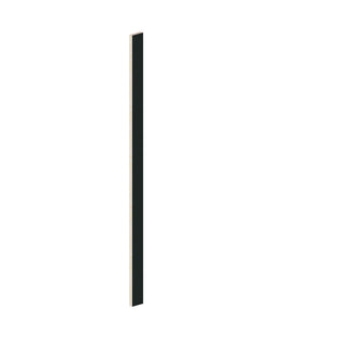 Aston Green - 03"W × 96"L Tall Filler - homecabinets
