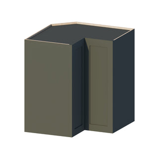Aston Green - 24"W × 42"H Easy - Reach Wall Cabinet - homecabinets