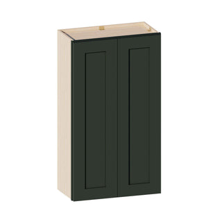 Aston Green - 24"W × 42"H Standard Wall Cabinet - homecabinets