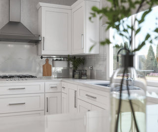 Classic White Shaker 10x10 Kitchen - homecabinets