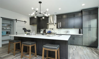 Dark Gray Shaker 10x10 Kitchen
