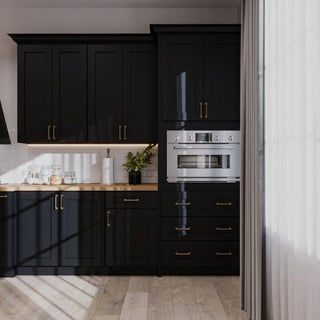 Iron Black Shaker 10x10 Kitchen - homecabinets